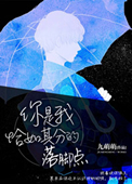 《你是我恰如其分的落脚点》封面