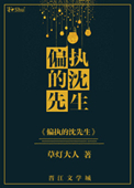 《偏执的沈先生》封面