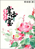 《重生之掌中宝》封面