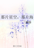 《那片星空，那片海（网络版）》封面