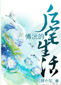 《傅沅的后宅生活》封面