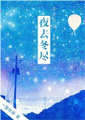 《夜去冬尽》封面