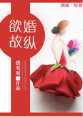 《欲婚故纵》封面