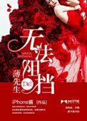 《无法阻挡的薄先生》封面