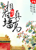 《相府墙真高》封面