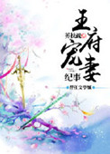 《王府宠妻纪事》封面