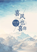 《喜风也喜你》封面
