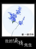 《我的编辑先生》封面