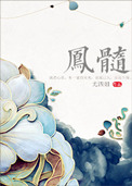《凤髓》封面