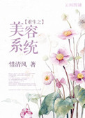 《重生之美容系统》封面