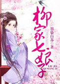 《柳家七娘子》封面