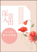 《深入景出》封面