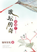 《穿越之歌坛传奇》封面