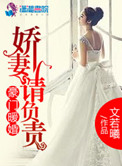 《豪门暖婚之娇妻请负责》封面