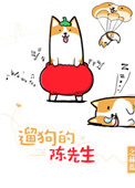 《遛狗的陈先生》封面