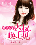 《婚迷心窍：大叔，晚上见》封面