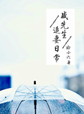 《盛先生追妻日常》封面