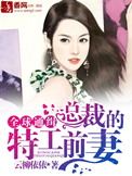 《全球通缉：总裁的特工前妻》封面
