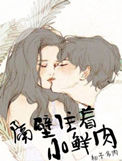 《隔壁住着小鲜肉》封面