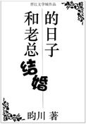 《和老总结婚的日子》封面