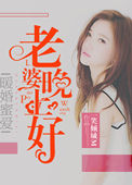 《暖婚蜜爱：老婆晚上好》封面