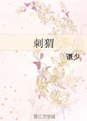《刺猬》封面
