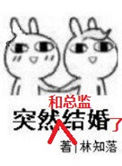 《突然和总监结婚了》封面