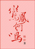 《鸾凤何鸣》封面