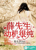 《薛先生，动机很纯》封面