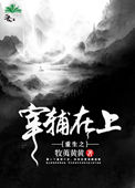 《重生之宰辅在上》封面