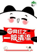 《网红之一股清流》封面