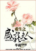 《重生之盛宠夫人》封面
