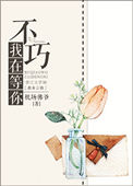 《不巧，我在等你》封面