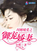 《闪婚暖爱之御宠娇妻》封面