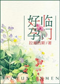 《好孕临门》封面