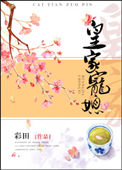 《皇家宠媳》封面