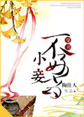 《小妾不好当》封面