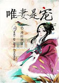 《唯妻是宠》封面