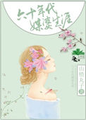 《六十年代媒婆生涯》封面