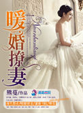 《暖婚撩妻》封面