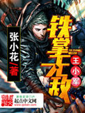 《铁掌无敌王小军》封面