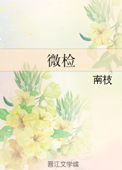 《微检》封面