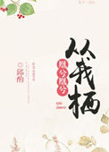 《凰兮凰兮从我栖》封面