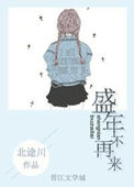 《盛年不再来》封面