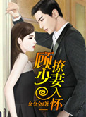 《顾少撩妻入怀》封面