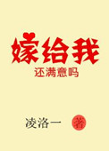 《嫁给我还满意吗》封面