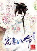 《重生之宠妻如命（作者：安酥）》封面