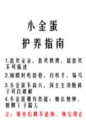 《小金蛋护养指南》封面