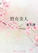 《野有美人》封面