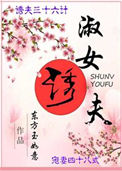 《淑女诱夫》封面